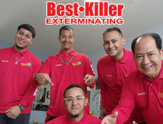 Best Killer Exterminating