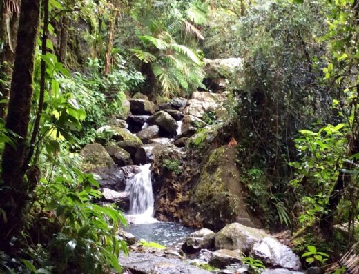 Cascada La Mina (El Yunque)