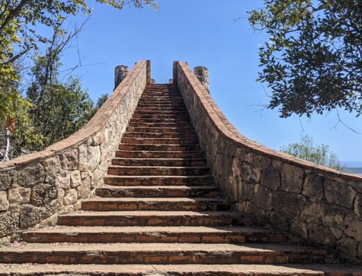 Bosque Estatal de Guánica