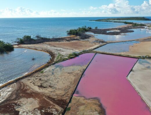 Refugio Nacional de Vida Silvestre de Cabo Rojo