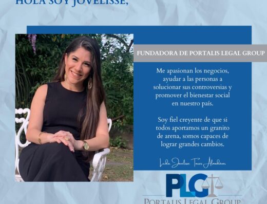 Portalis Legal Group