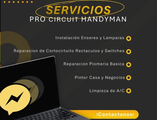 Pro Circuit Handyman