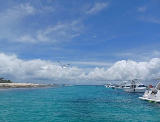 Pier Agua