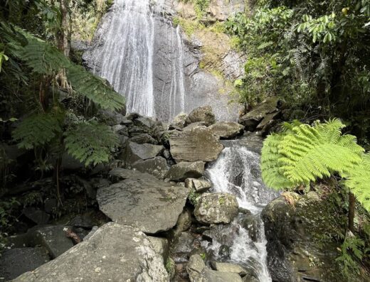 Puerto Rico Tour Desk – Best Puerto Rico Adventures Tours and Excursions