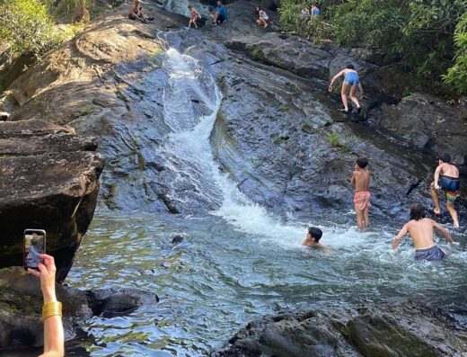 El yunque rainforest tours & transportation
