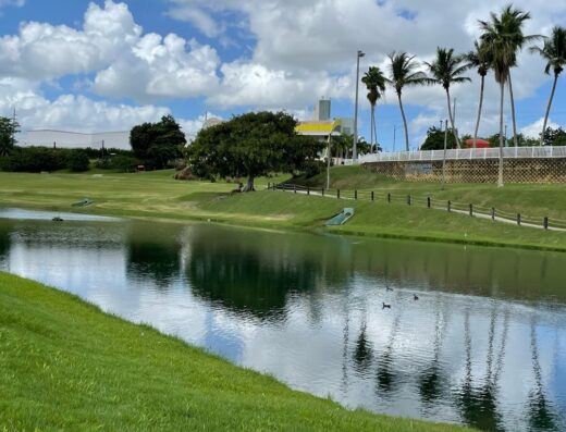 Río Bayamón Golf Course