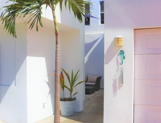 Mango Mansion