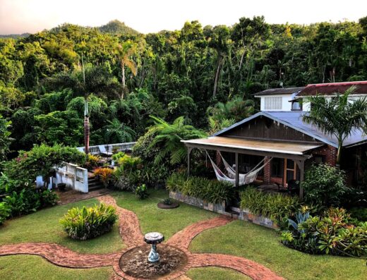 Rainforest Inn