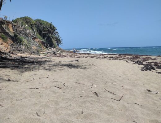 SeaTurtle House