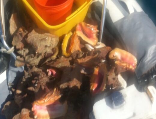 Rest. El Pescador & Tapas