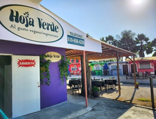 Hoja Verde – Al gusto vegano/vegetariano