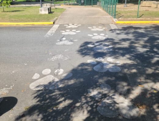 Parque de Perros Arterial Hostos