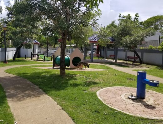 Parque De Animalesto