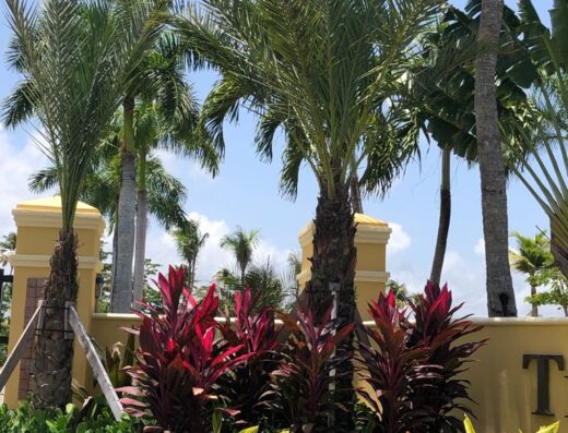 Landscape Contractors and Desingners, LLC