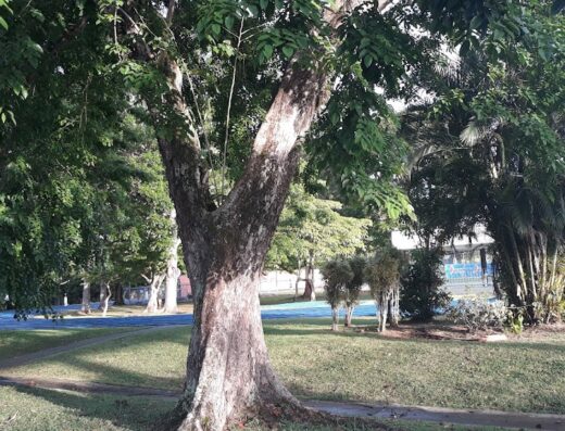 Complejo Deportivo de Torrimar