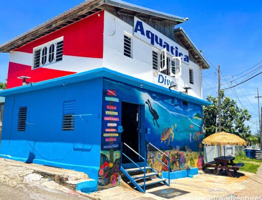 Aquatica Underwater Adventures
