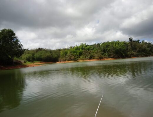 Lago de Cidra