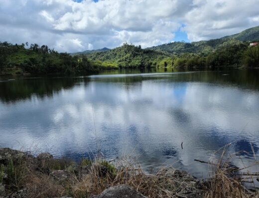 Lago Garzas