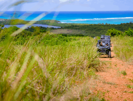 Offroad Puerto Rico UTV Tours