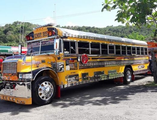 Transporte Papo Alvy, Inc.