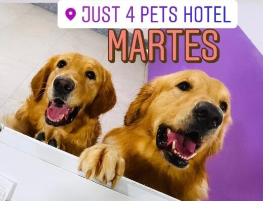 Just 4 Pets Hotel