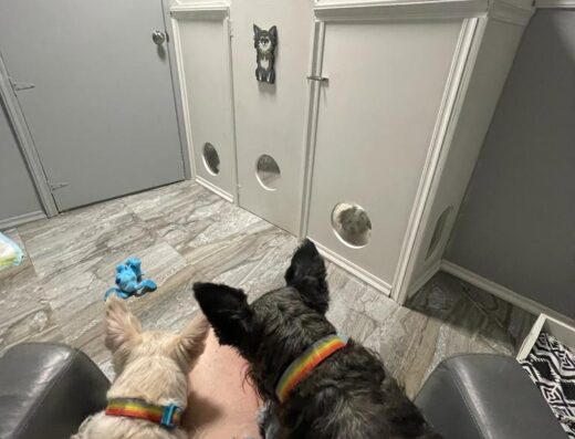 Mimos Doggie Hotel