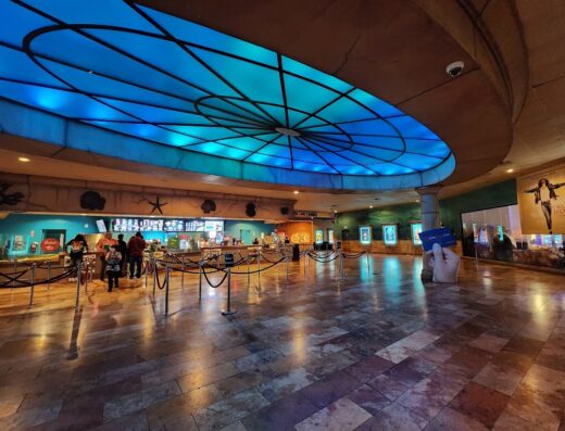 Caribbean Cinemas