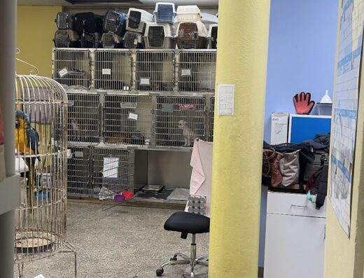 Miramar Animal Hospital