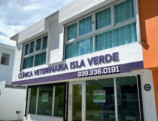 Clinica Veterinaria Isla Verde