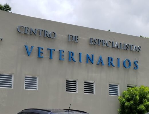 Centro de Especialistas Veterinarios