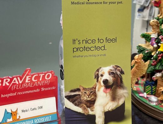 Clínica Veterinaria Roosevelt