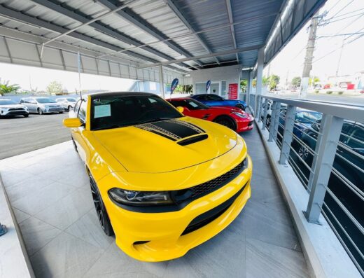 vicente auto solutions