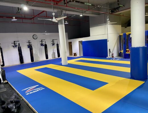 Behring Brazilian Jiujitsu Puerto Rico