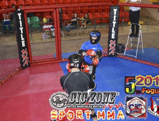 Puerto Rico Mixed Martial Arts Federation