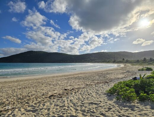 Playa Flamenco Beach