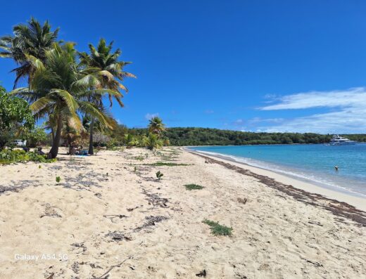 Sun Bay Beach
