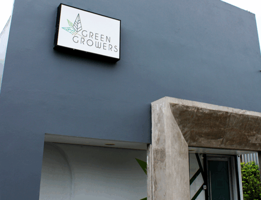 Green Growers Caguas