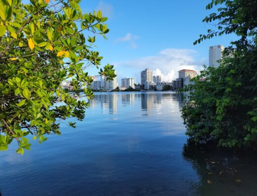 Laguna del Condado Profesor Jaime Benítez Rexach National Park