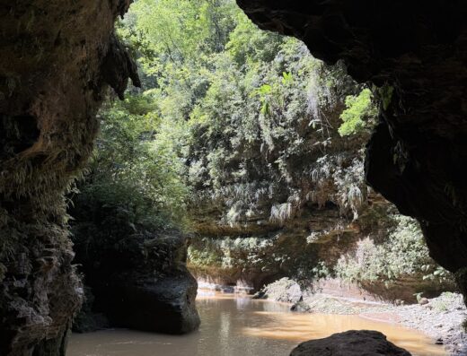 Tanama River Adventures