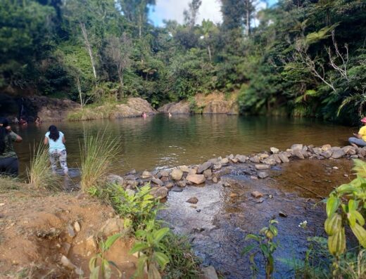 Bosque Estatal de Carite