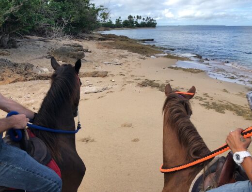 Playuelas Horse Rides