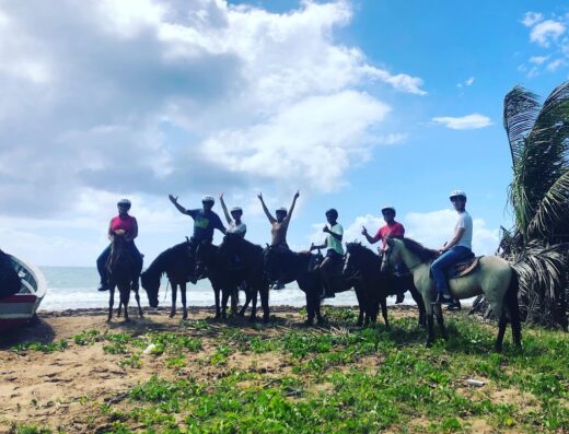 Island View Stable | Palmas del Mar