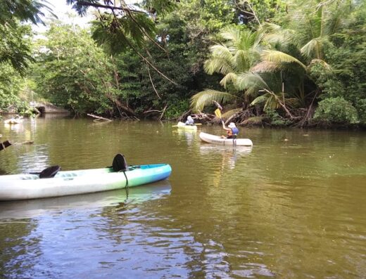 Humacao Nature Preserve