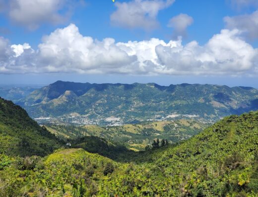Bosque Estatal Toro Negro