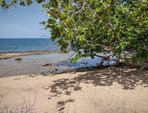 Reserva Marina Tres Palmas
