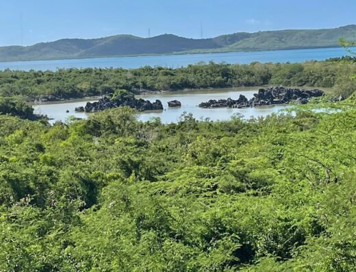 Reserva Natural Punta Guaniquilla