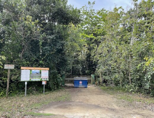 Reserva Natural de Tortuguero