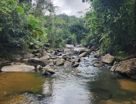 Río Sabana