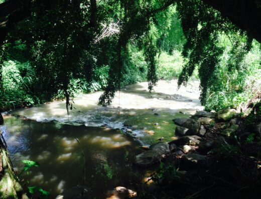 Río Casei