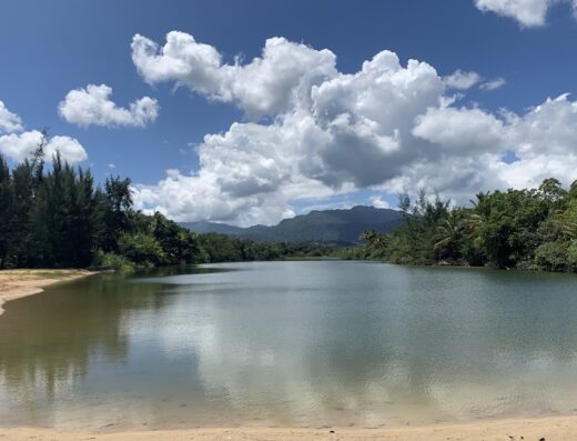 Río Mameyes